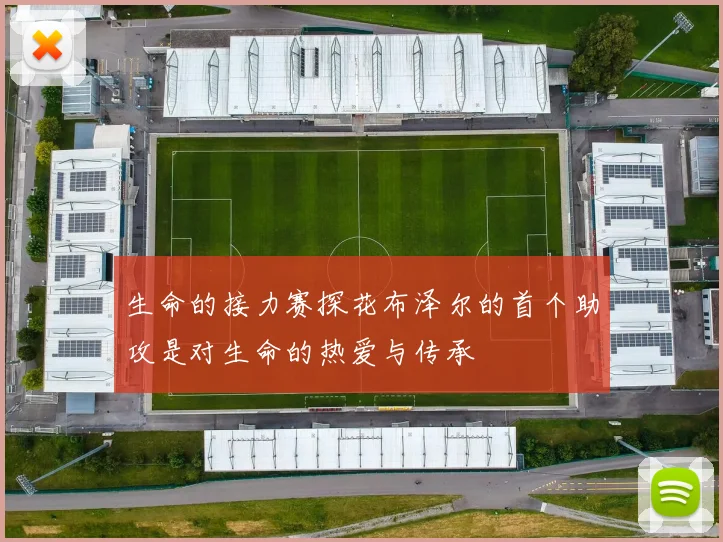 生命的接力赛探花布泽尔的首个助攻是对生命的热爱与传承