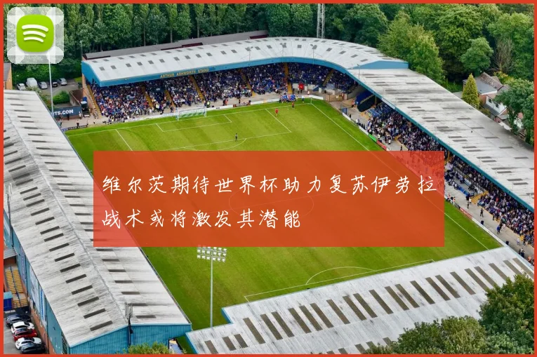 维尔茨期待世界杯助力复苏伊劳拉战术或将激发其潜能