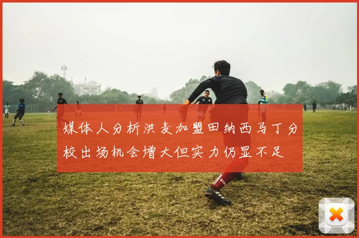 媒体人分析洪麦加盟田纳西马丁分校出场机会增大但实力仍显不足